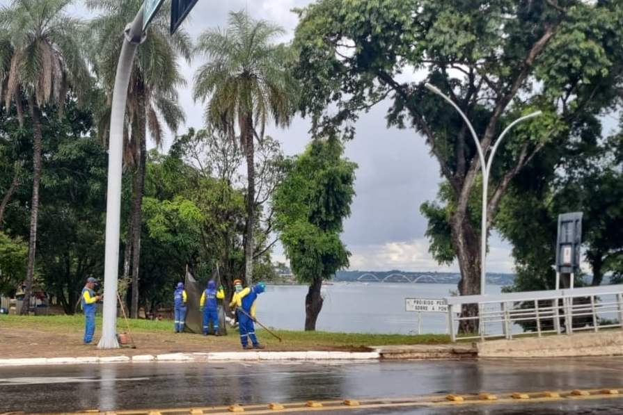 limpeza e benfeitorias na ponte honestino guimaraes 11