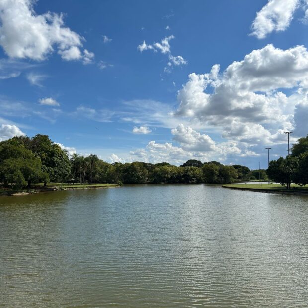 parque da cidade dona sarah kubitschek fotos daniel xavier jornal de brasília (5)