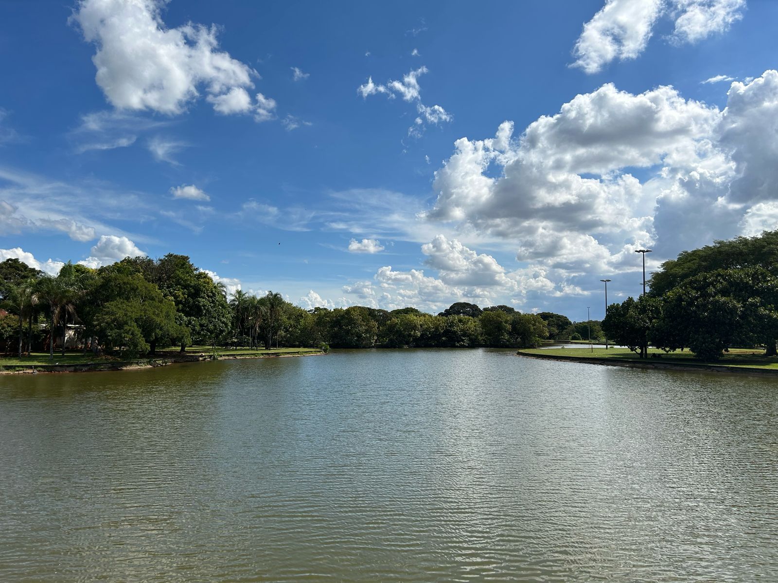 parque da cidade dona sarah kubitschek fotos daniel xavier jornal de brasília (5)