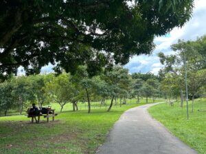 parque ecológico de Águas claras fotos daniel xavier jornal de brasília (8)