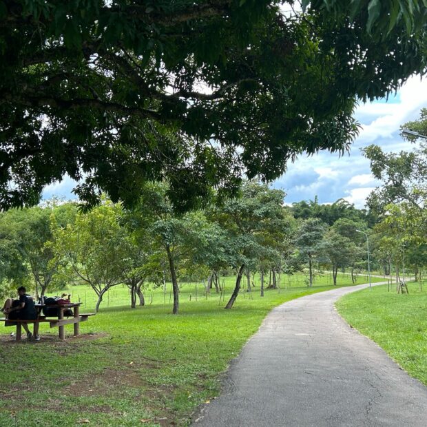 parque ecológico de Águas claras fotos daniel xavier jornal de brasília (8)