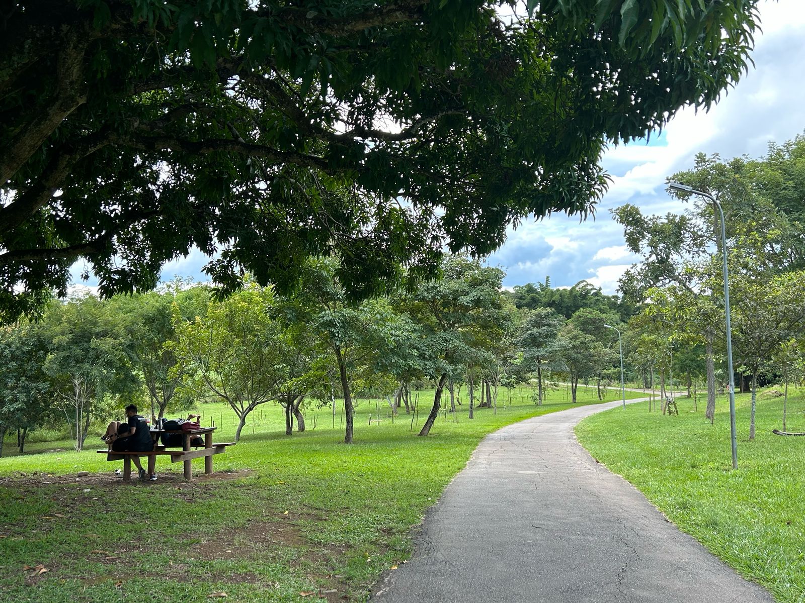 parque ecológico de Águas claras fotos daniel xavier jornal de brasília (8)