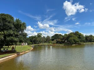 parque da cidade dona sarah kubitschek fotos daniel xavier jornal de brasília (4)
