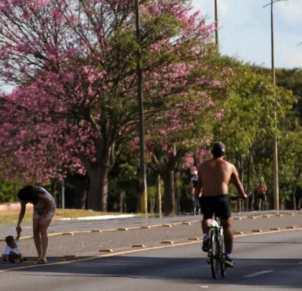 rua passeio