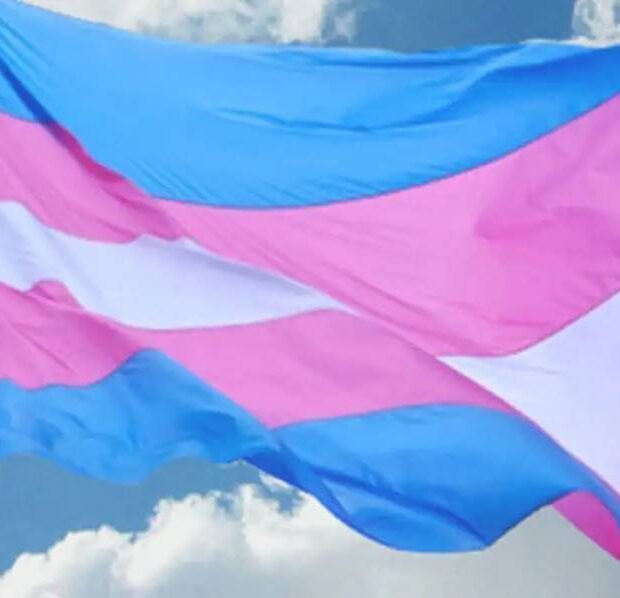 veto de terapias hormonais para menores