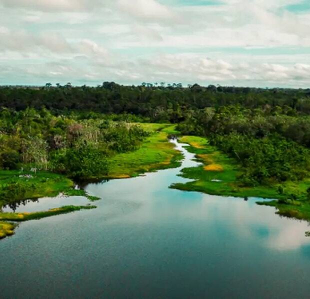 area de protecao no para tera trilha ecologica e turismo de base comunitaria