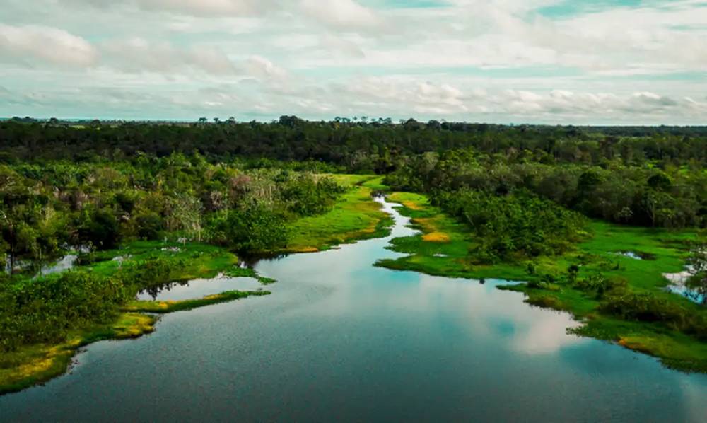area de protecao no para tera trilha ecologica e turismo de base comunitaria