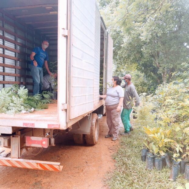 produtores rurais