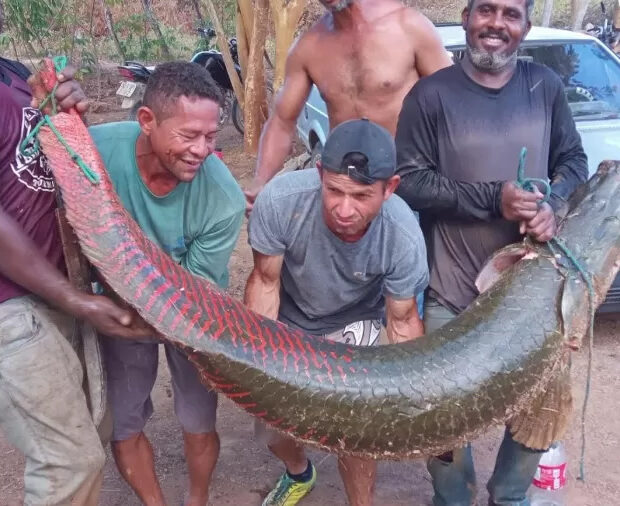 amigos dividiram pirarucu para consumir na semana santa 1745098966740 v2 900x506.jpg