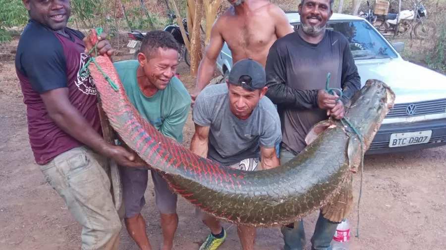 amigos dividiram pirarucu para consumir na semana santa 1745098966740 v2 900x506.jpg