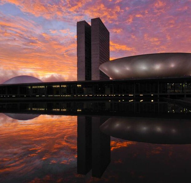 brasília brito (1)