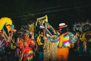 boi de seu teoodoro cred gabriela pires