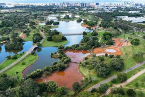 imagem do whatsapp de 2025 04 20 à(s) 15.56.29 72238407