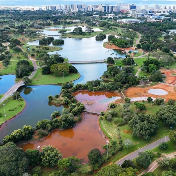 imagem do whatsapp de 2025 04 20 à(s) 15.56.29 72238407