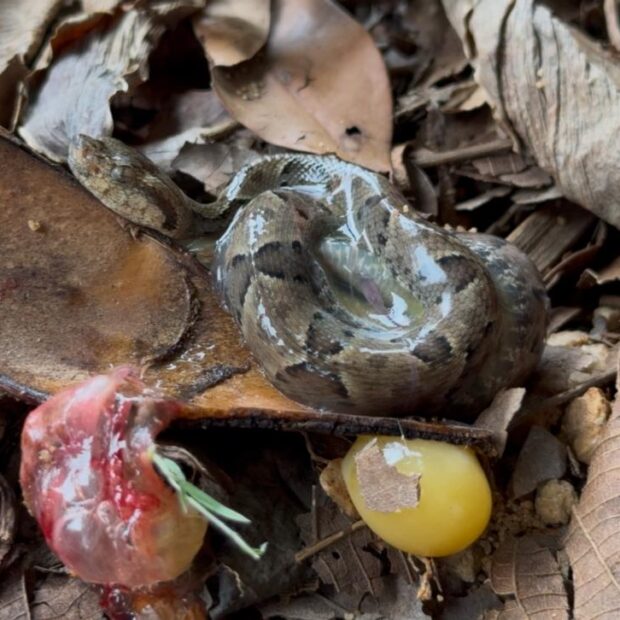 whatsapp image 2025 04 23 at 10.12.36