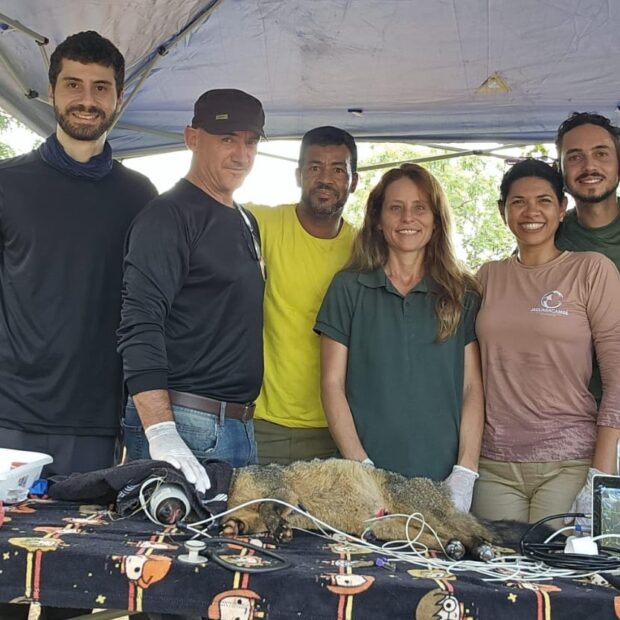 b2a2224c 5188 4394 8036 2ff35251a5ce 1