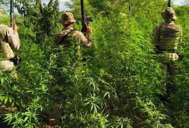 captura de tela 2025 04 25 072741