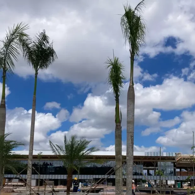 whatsapp image 2025 04 24 at 20.55.32 3