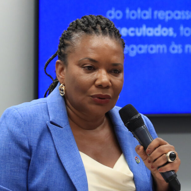 ministra margareth menezes, nas comissões de cultura e fiscalização financeira. (1)