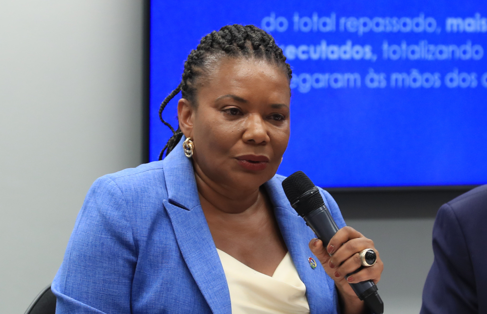ministra margareth menezes, nas comissões de cultura e fiscalização financeira. (1)