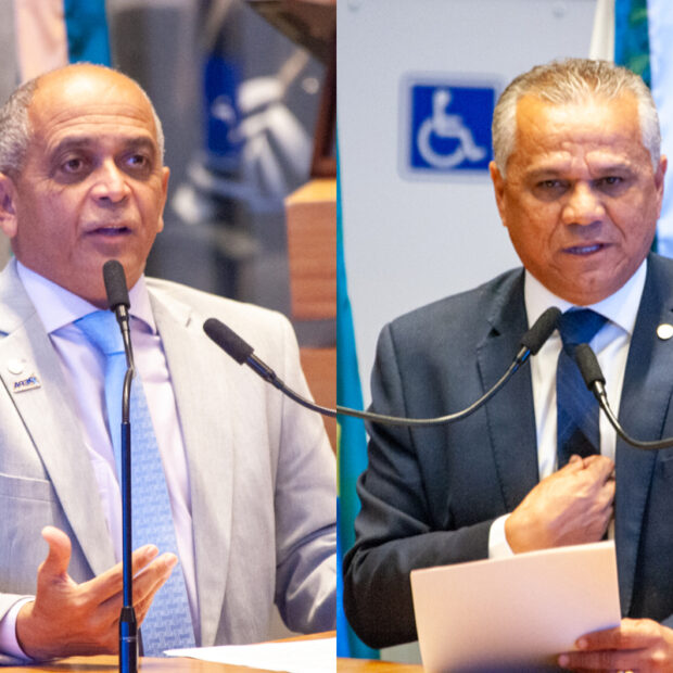 criação liderança pp