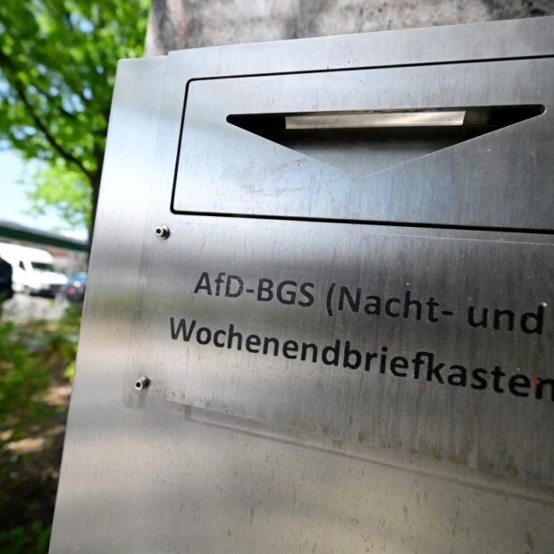 germany politics farright afd