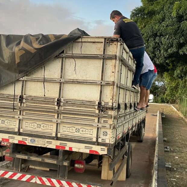 whatsapp image 2025 05 02 at 18.24.16 (1)