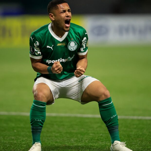 fbl libertadores palmeiras cerroporteno