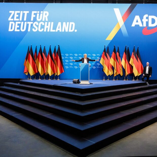 files germany politics farright afd democracy