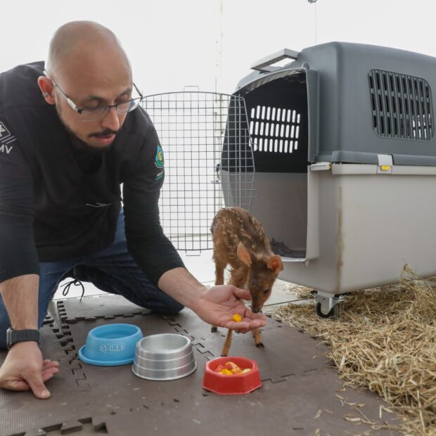 whatsapp image 2025 05 05 at 15.40.22 (1)