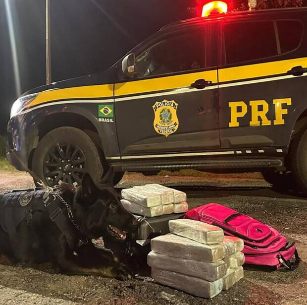 captura de tela 2025 05 06 105350