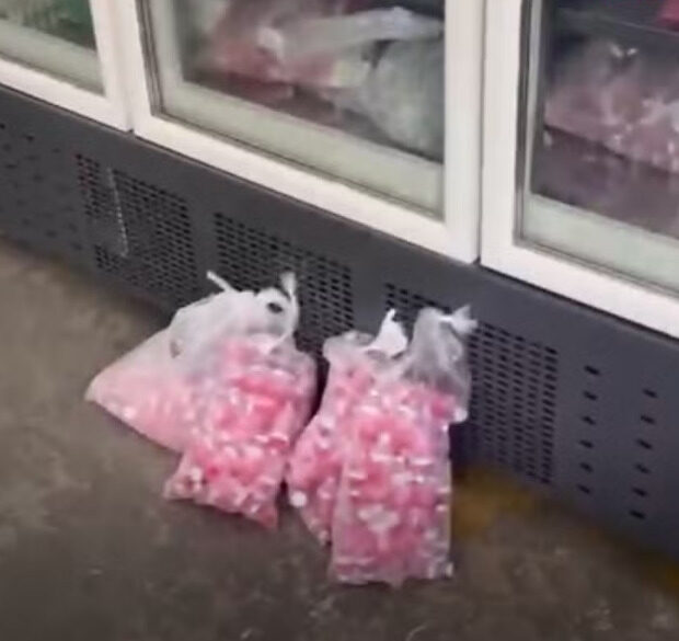 captura de tela 2025 05 07 105319