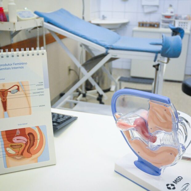 whatsapp image 2025 05 07 at 14.03.23