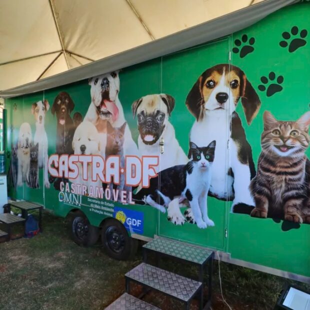 Foto: Divulgação/Sepan-DF