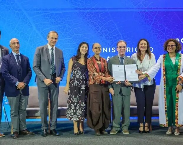 Foto: Erivelton Viana.