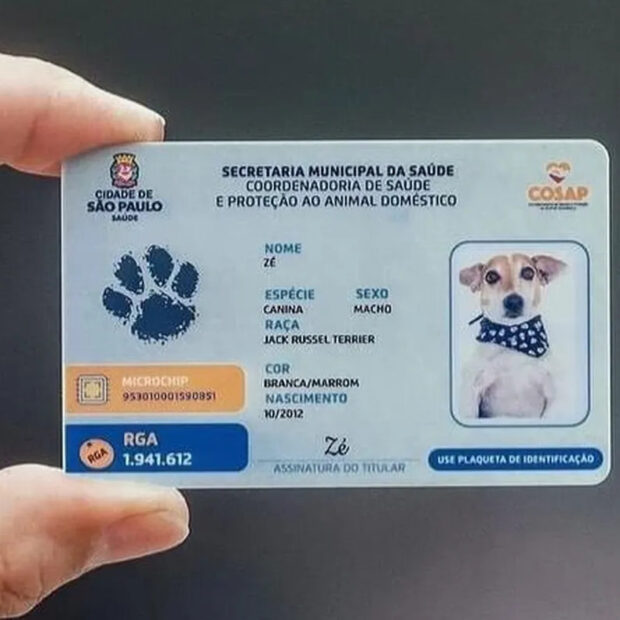 Foto: Divulgação/ Prefeitura de São Paulo.