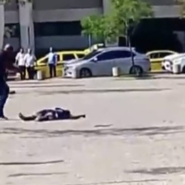 1746825264681e7030442bd 1746825264 3x2 lg