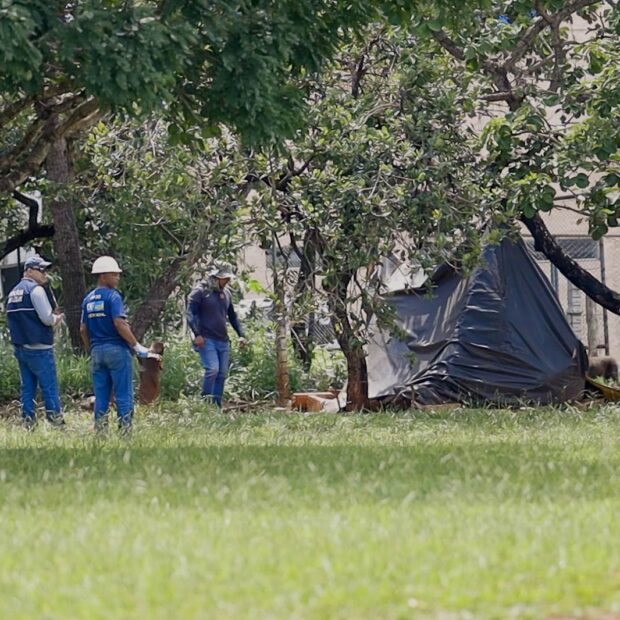 whatsapp image 2025 01 17 at 18.18.12