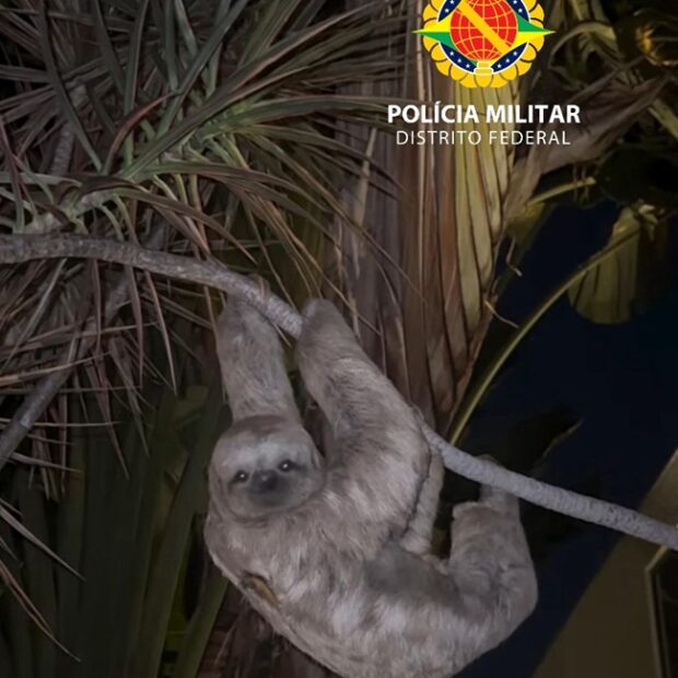 whatsapp image 2025 05 12 at 07.24.28