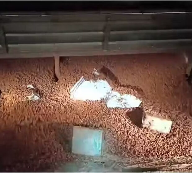 whatsapp image 2025 05 11 at 13.56.10 (1)