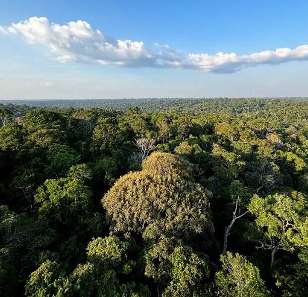 políticas públicas ambientais,