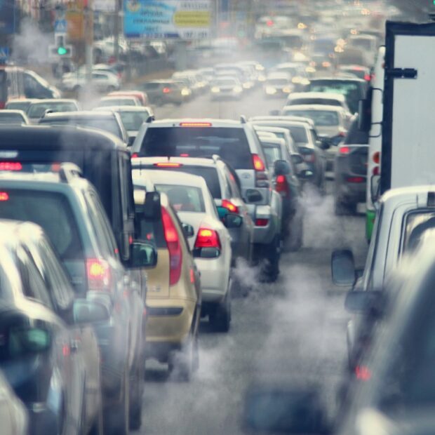 Foto: Divulgação/Brasília Ambiental