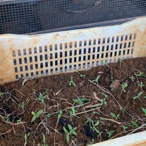 imagem do whatsapp de 2025 05 12 à(s) 21.57.22 816d37d3