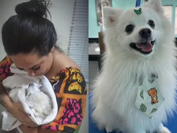 b047a1bc4302f2e2e7488e3734ac573b