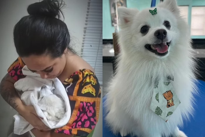 b047a1bc4302f2e2e7488e3734ac573b