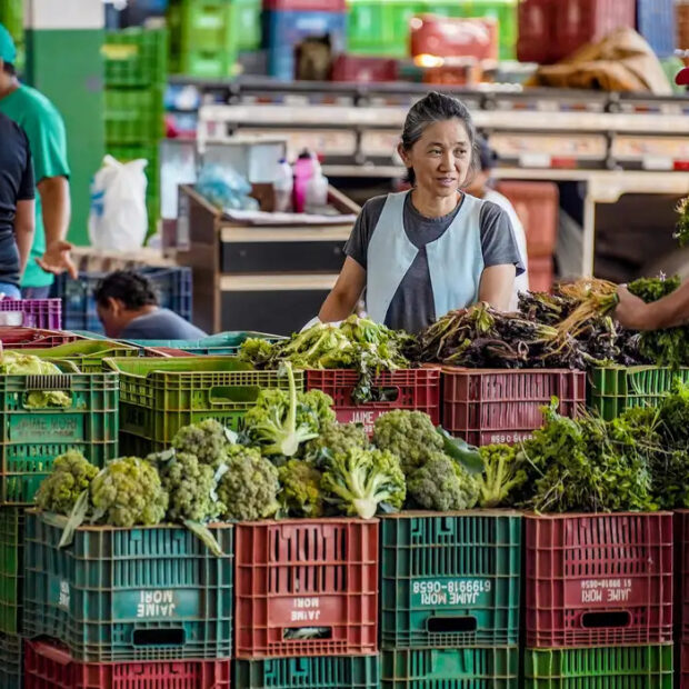 agrotoxicos nos alimentos