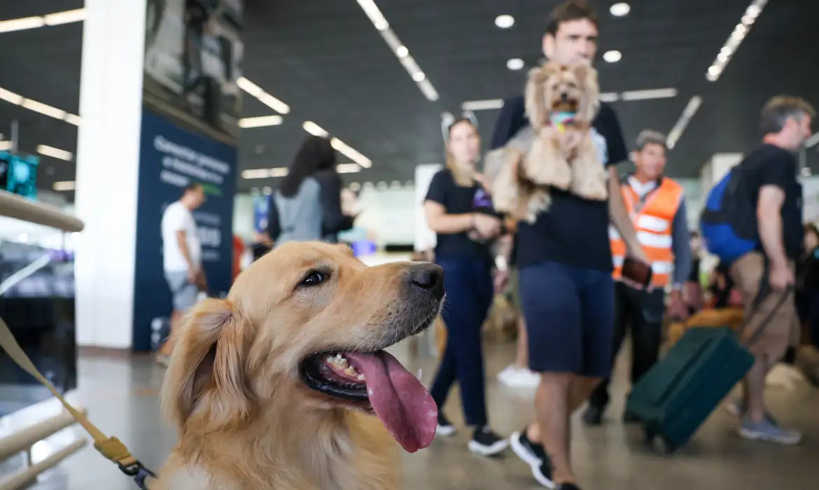 animais de suporte emocional embarcam