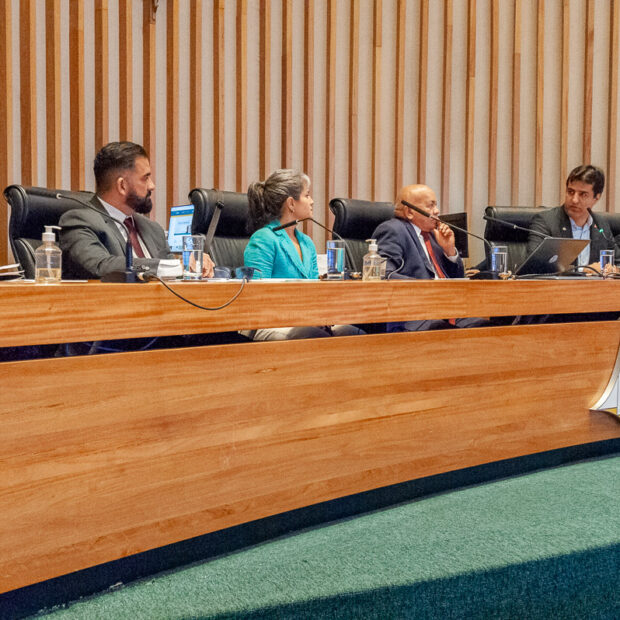 Foto: Ângelo Pignaton/ Agência CLDF