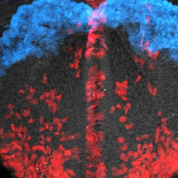 17472525776824f561195ce 1747252577 3x2 lg