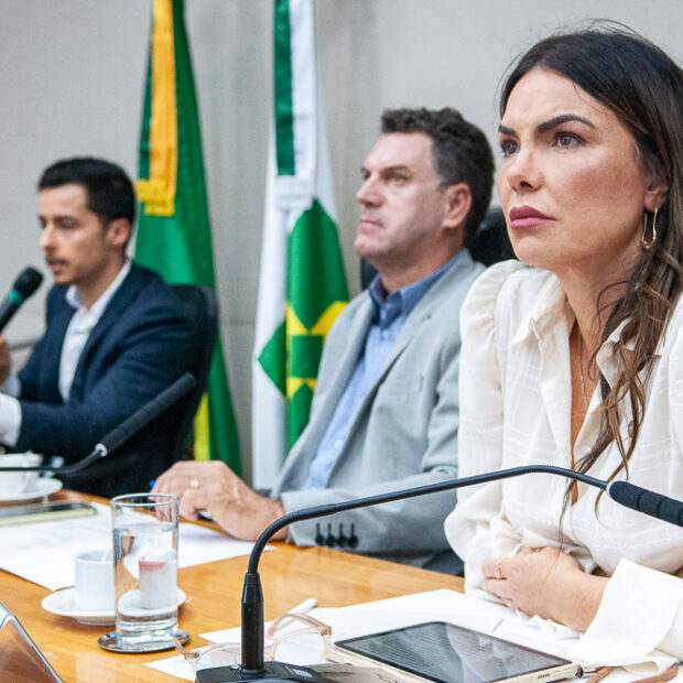 Foto: Rinaldo Morelli/ Agência CLDF